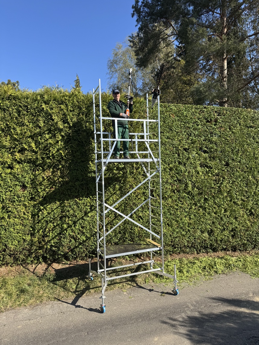 Garten mit stilvollen Sträuchern